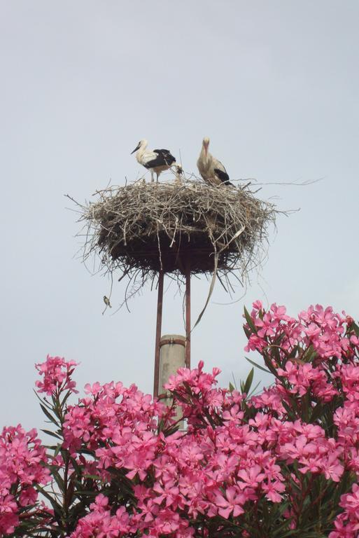 St John'S House Villa Selçuk Dış mekan fotoğraf